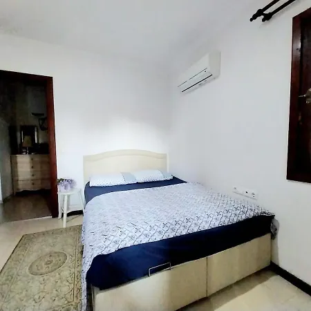 Villa Yok1 *