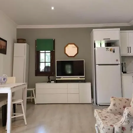 Villa Yok1 *